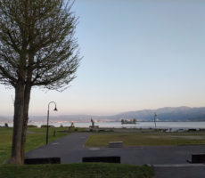 「諏訪湖で朝活。太極拳」2019年3回目を行いました